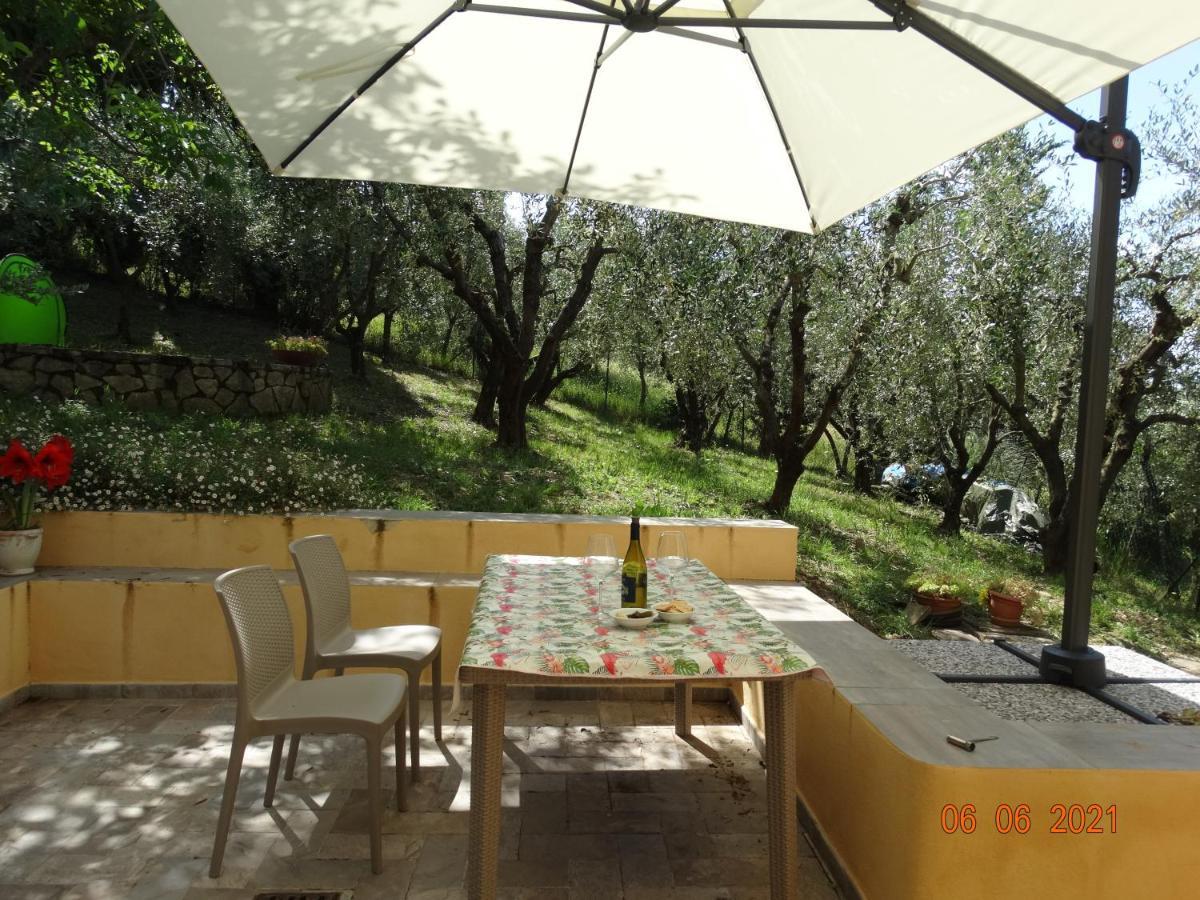 Poggio House, Tranquillita E Comfort Nella Natura San Casciano in Val di Pesa Dış mekan fotoğraf