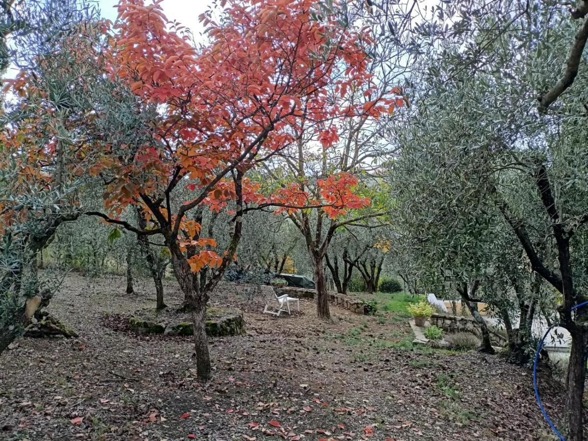 Poggio House, Tranquillita E Comfort Nella Natura San Casciano in Val di Pesa Dış mekan fotoğraf