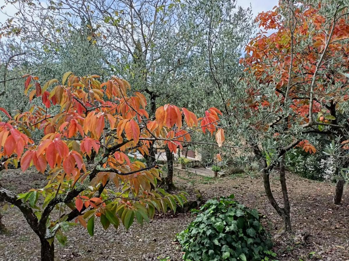Poggio House, Tranquillita E Comfort Nella Natura San Casciano in Val di Pesa Dış mekan fotoğraf
